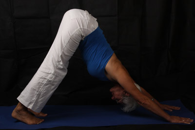 herunterschauender Hund - Adho Mukha Shvanasana herunterschauender Hund - Adho Mukha Shvanasana